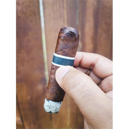 Roma Cromagnon Anthropology - Image 3