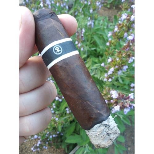 Roma Cromagnon Anthropology - Image 2