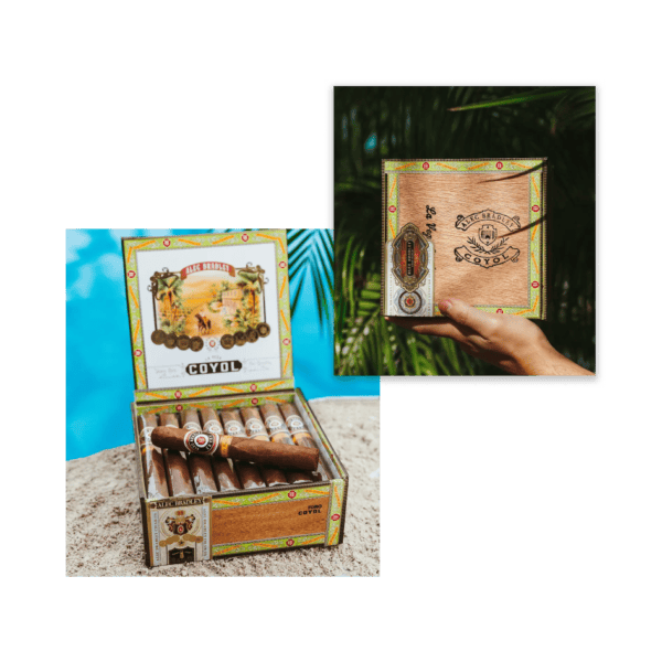 Alec Bradley Coyol Petit - Lancero